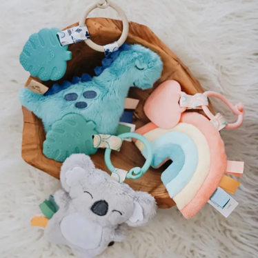 Itzy Ritzy Pal - Mushroom Teething Toy